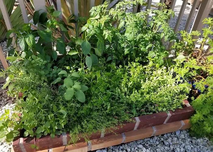 The Ringling Beach House